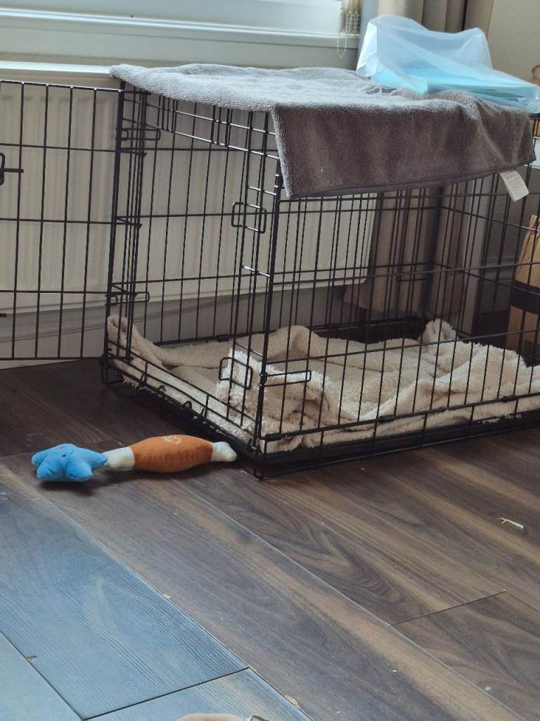 Dog crate 