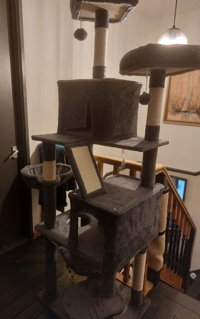 Large 200cm Cat Tree Brand New In Box Box 