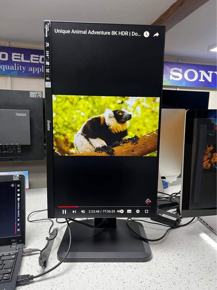 23.8" iiyama ProLite XU2493HS-B1 FHD Monitor, IPS, 1920x1080, 75Hz, 4ms, 5M:1, 2
