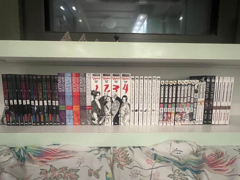 Collection of Manga and Light Novels