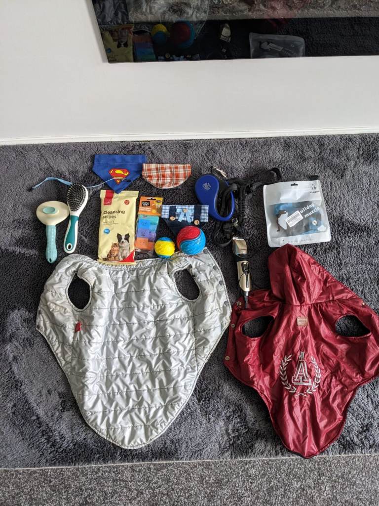 Dog accessories and bundle