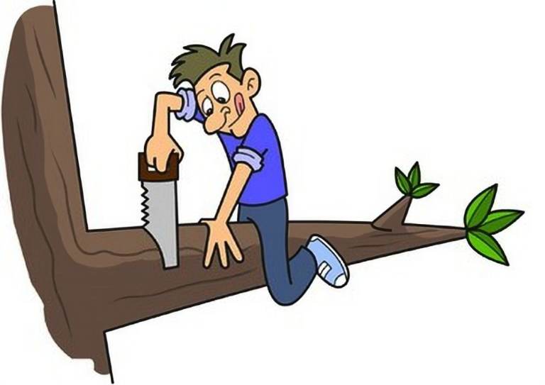 Old trees wanted for firewood 