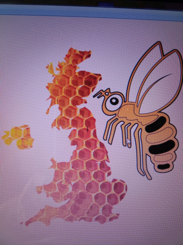 Turkish Builder, Carpenter-Handyman, 