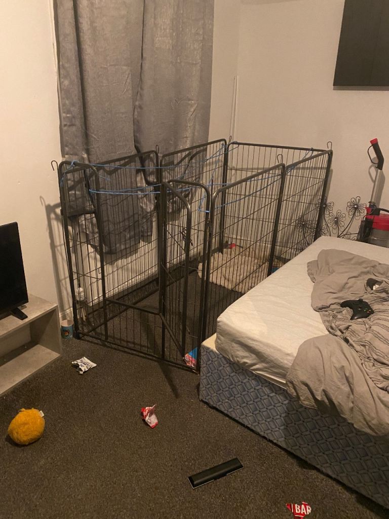 Dog pen 