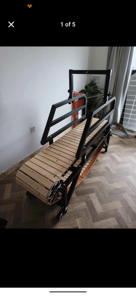 Dog Treadmill