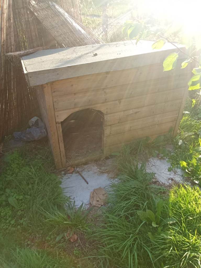 Dog kennel