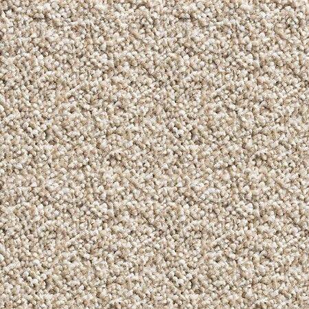 Beige Carpet 