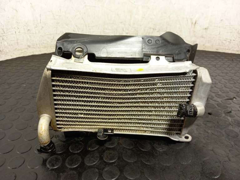Honda Crf Radiator 2000-2017 0.3l 19150krna81