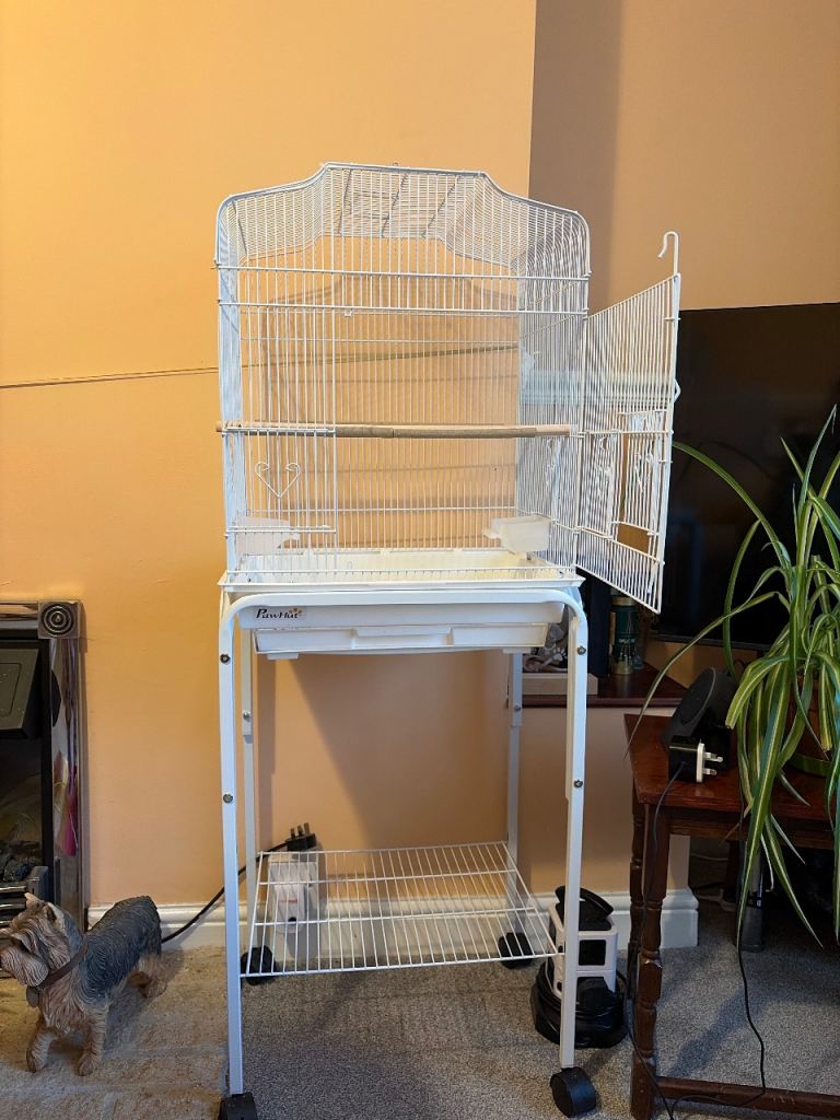 Budgie cage 