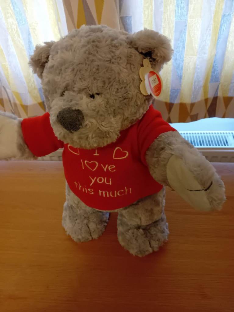 Cuddles collection bear