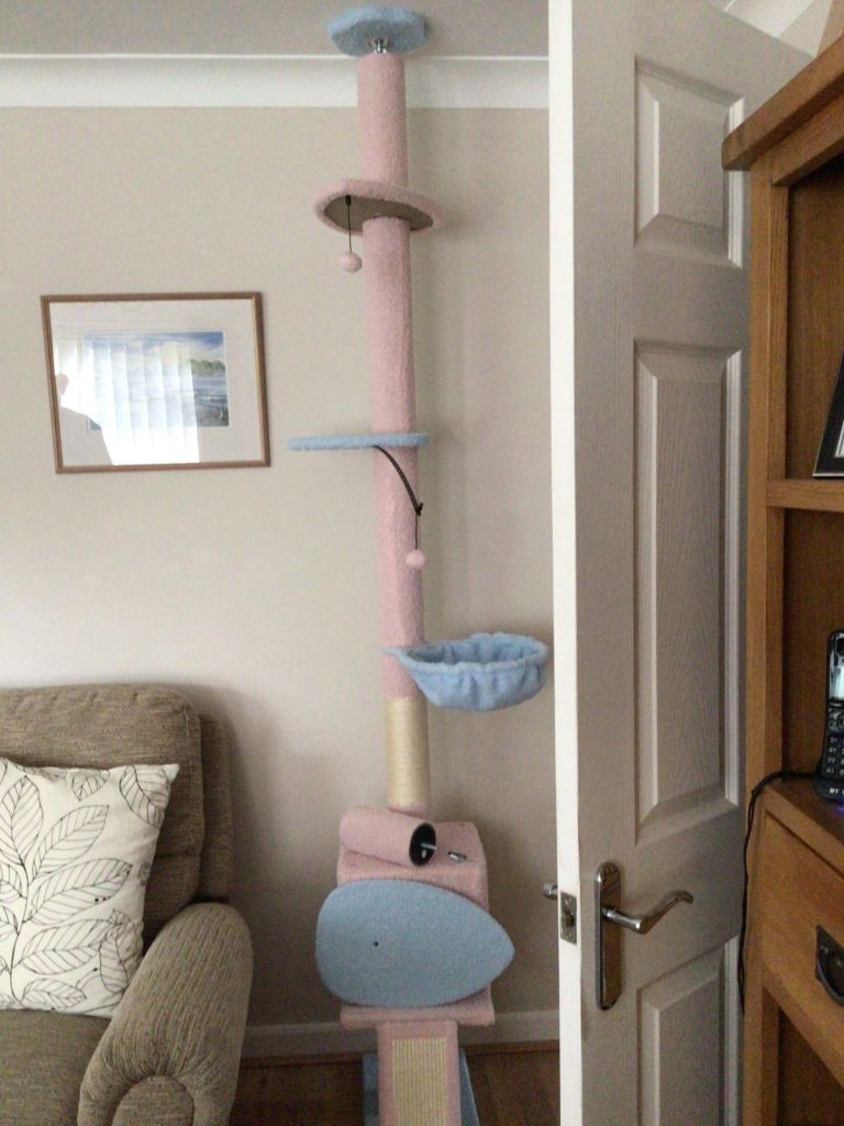 Cat / Kitten Floor To Ceiling Activity Tree. 