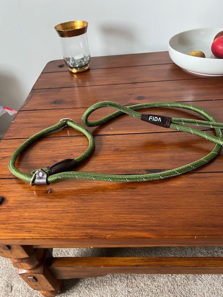 Fida slip lead