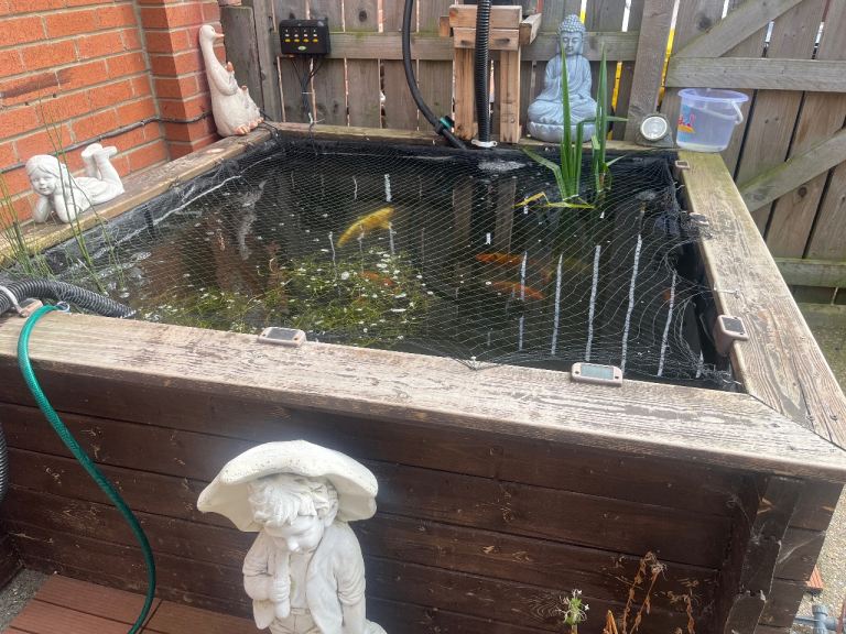 Closing down pond