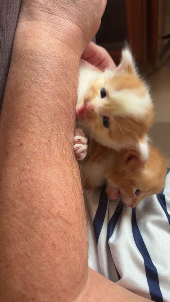 2 little bundles of mischeif