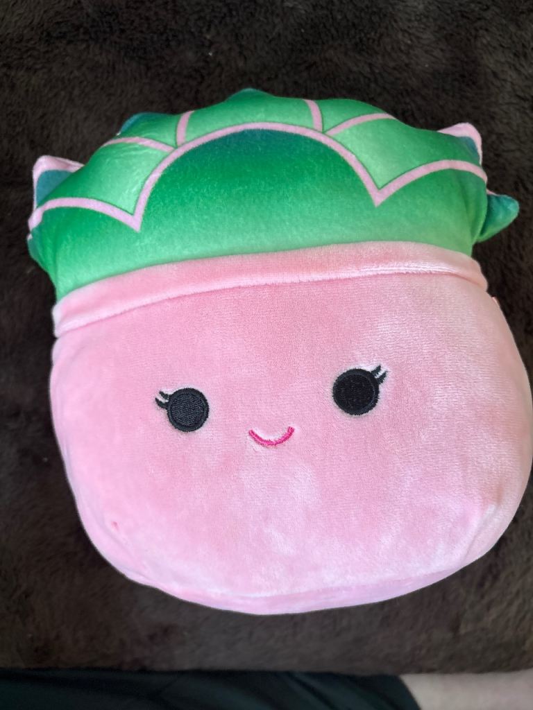 Squishmallow Pink & Green plant Plush Toy