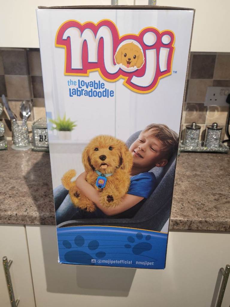 Moji the interactive dog