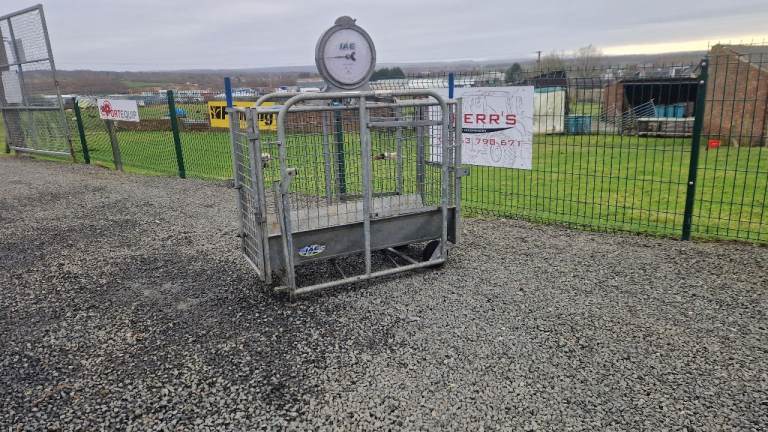 Iae galvanised lamb weigh scales farm livestock tractor 