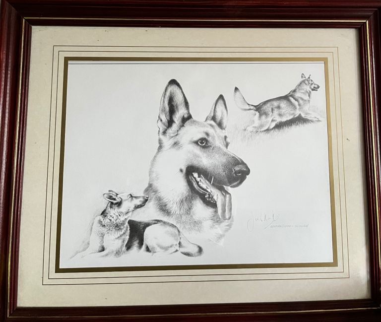 Framed German Shepherd Dog Pencil Drawing Print