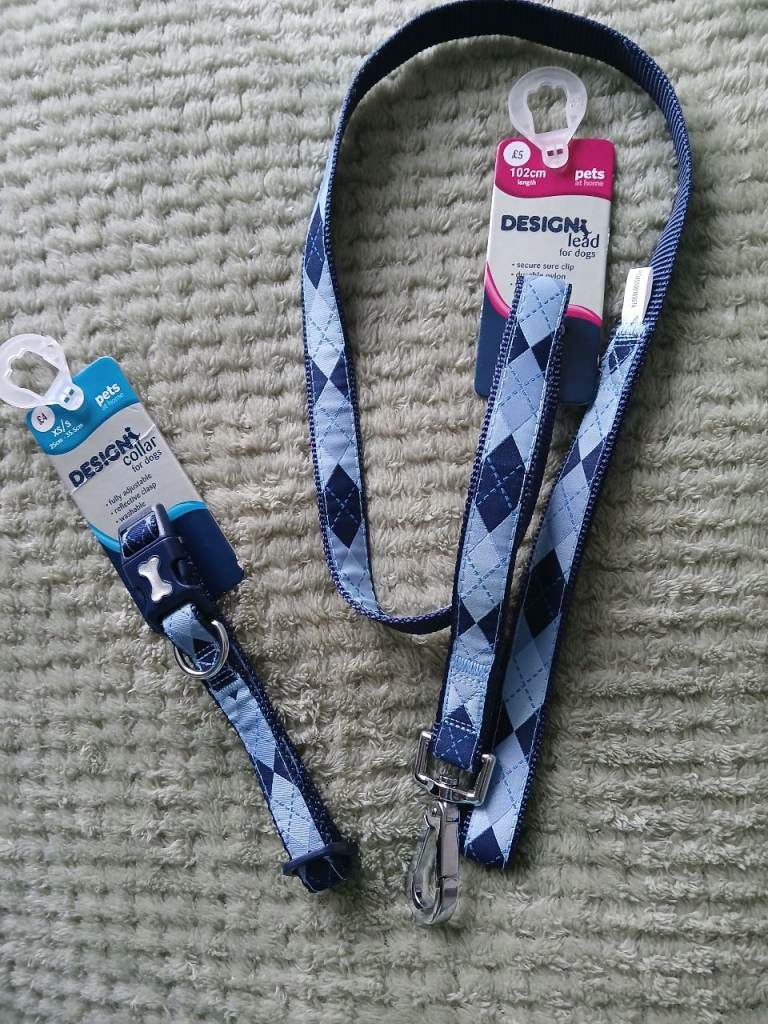 Dog collar and lead set 