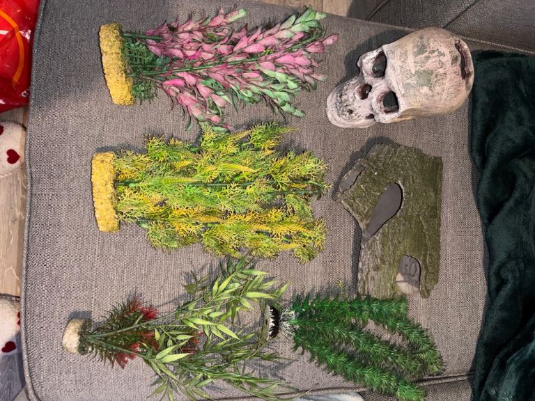 Assortment of fake plants, stones and shells