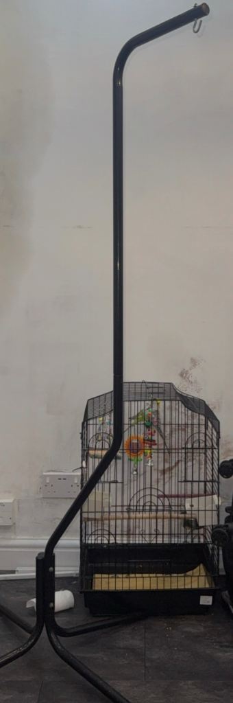 Budgie cage 