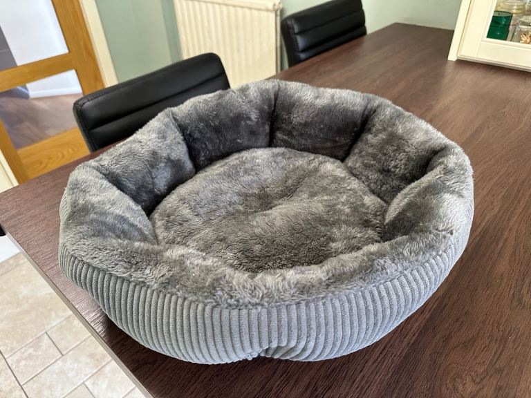 Cat bed