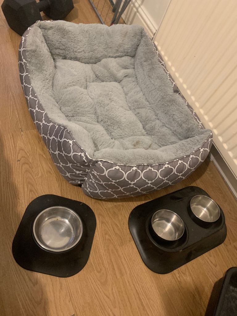 Dog/cat bed