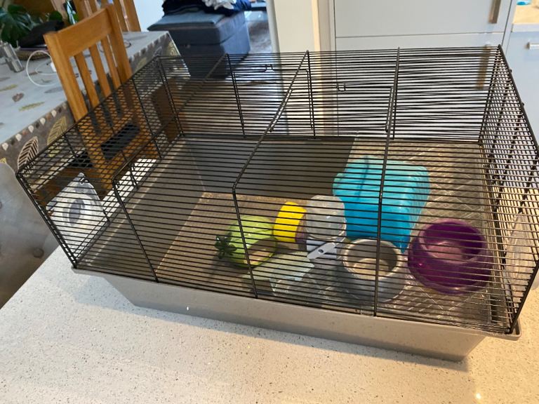 Hamster cage with accessories 