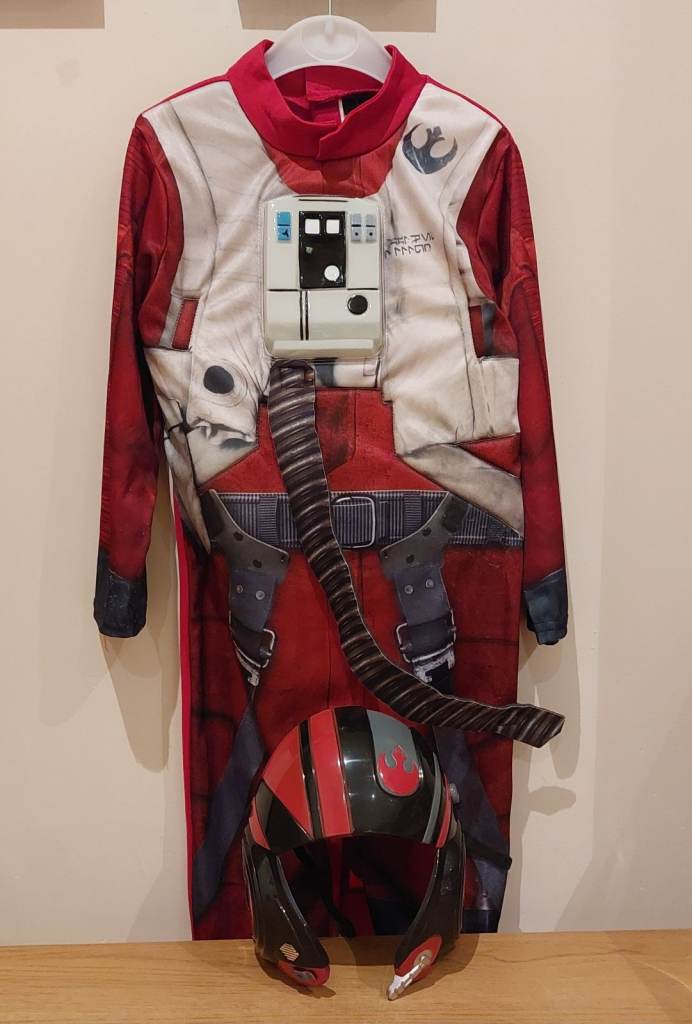 image for Dress up / World book day costume / fancy dress