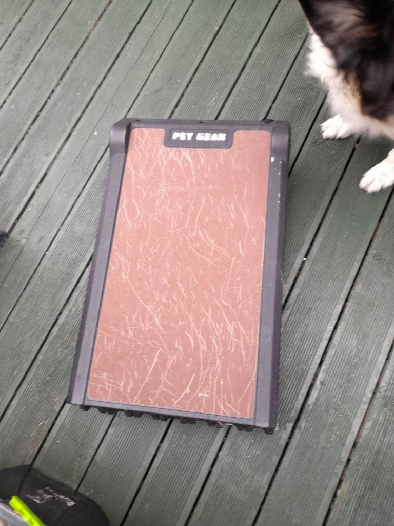Pet gear, dog ramp 