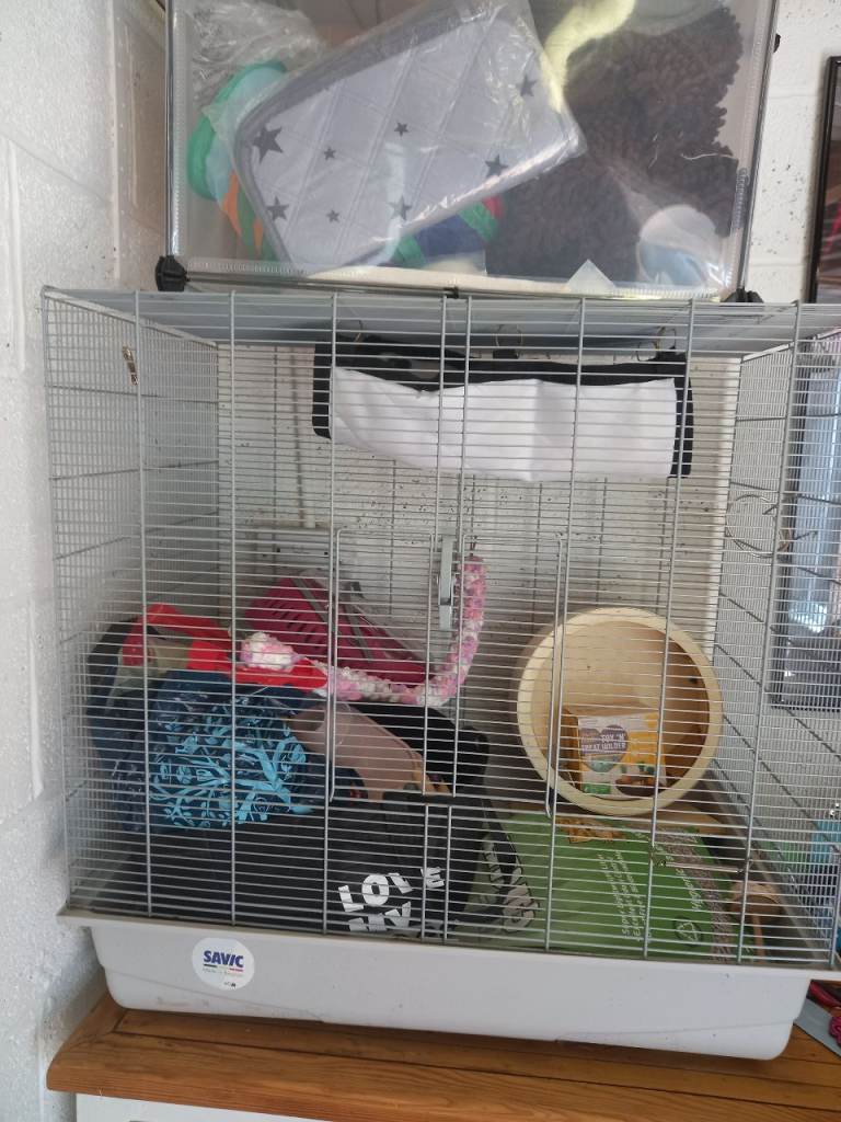 Rodent cage and run
