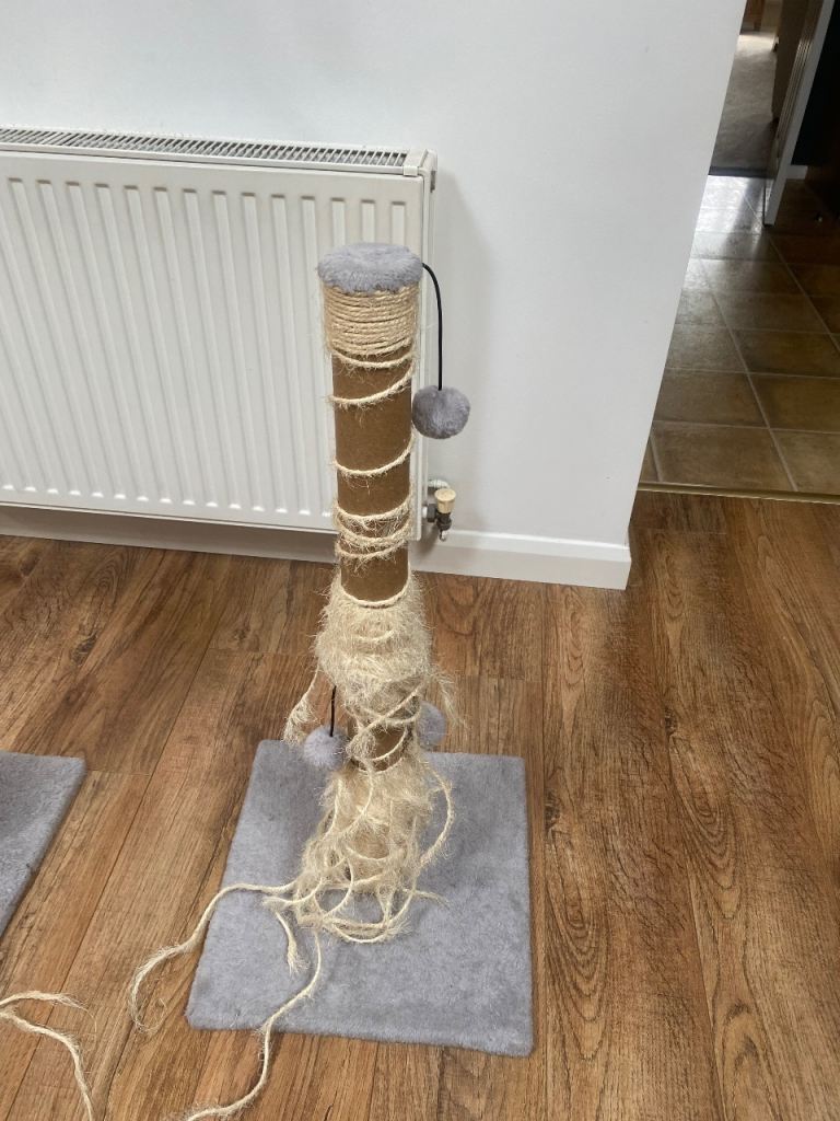 Two  cat scratch posts FREE 