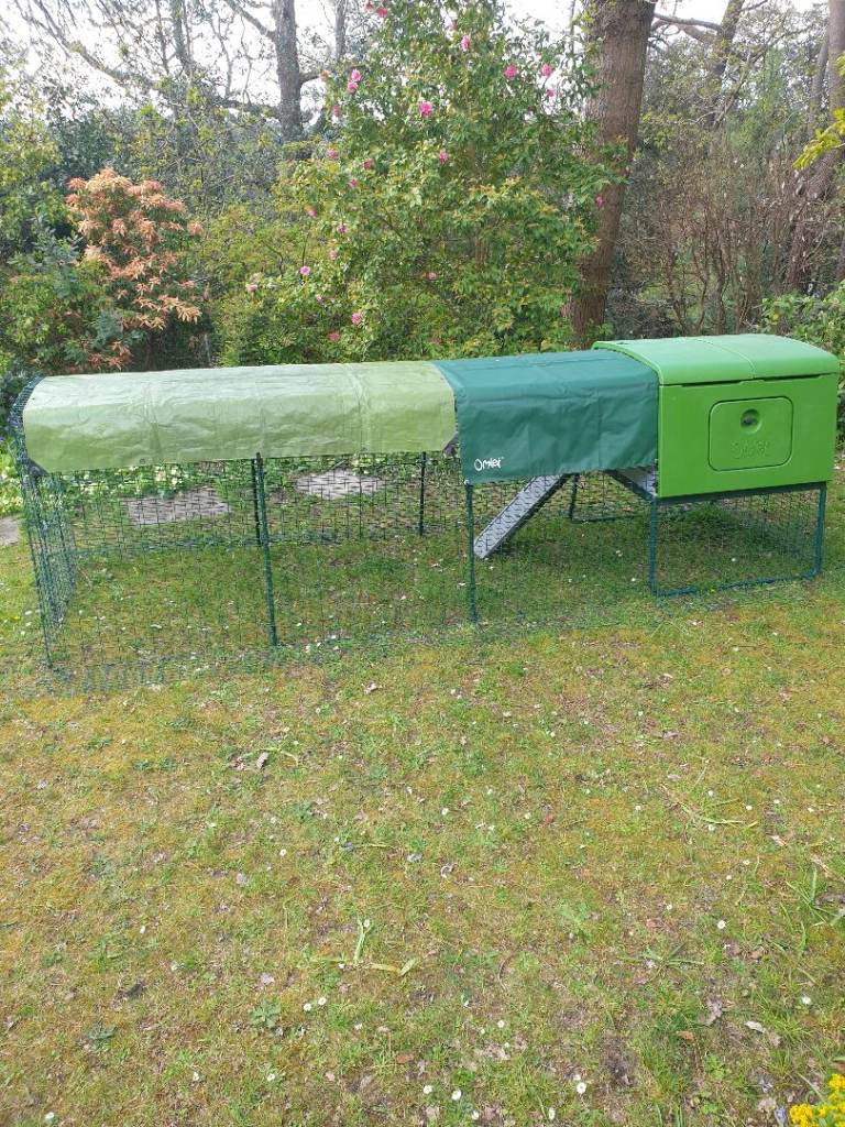 Omlet eglu cube Mk 2 chicken coop 