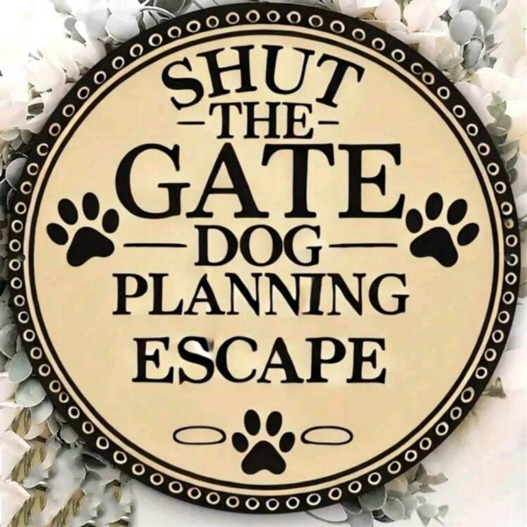 Dog Metal Tin Sign – “Shut the Gate” Plaque 20cm x 20cm 📮 postage available 📮 