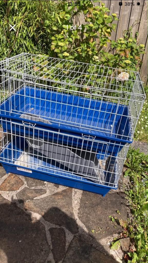 Rabbit cage 