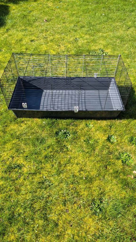 Guinea Pig / Small animal cage 