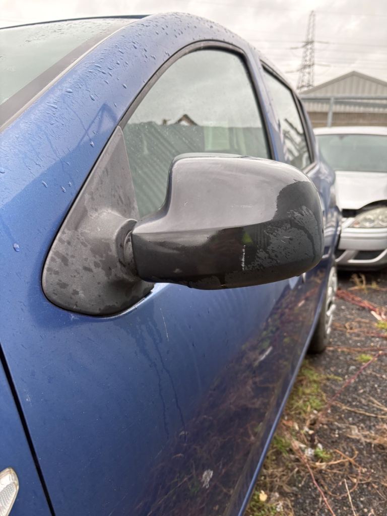2013-2016 Dacia Sandero Passenger Nearside Wing Mirror