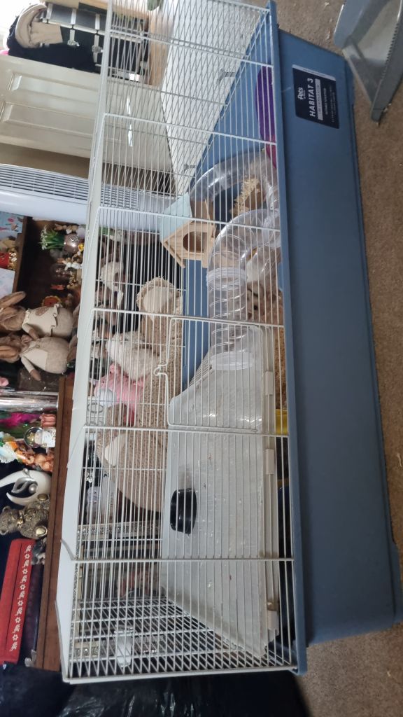 Large hamster cage
