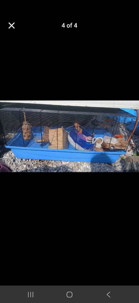 Barney hamster cage