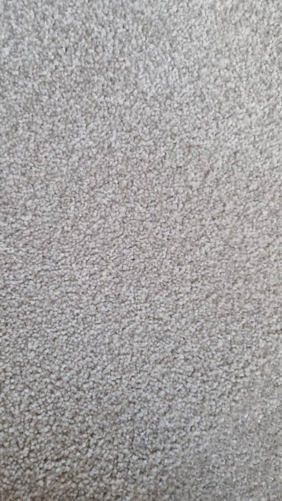 5×4m light grey carpet new