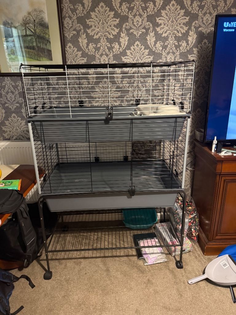 Indoor guineapig cage 
