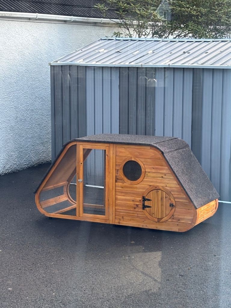 Chicken Coop 