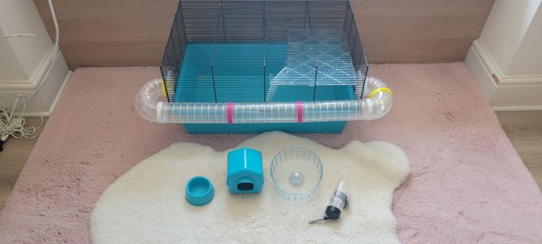 Hamster small animal pet cage. Small cage with wheel, tunnel, water bottle and house. All for £5