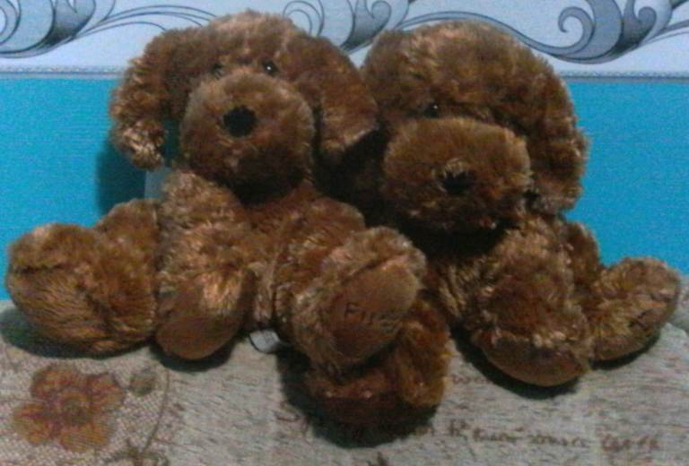 Cuddles Time FUDGE & HOLLY Puppy Dogs Brown Soft Plush Toys