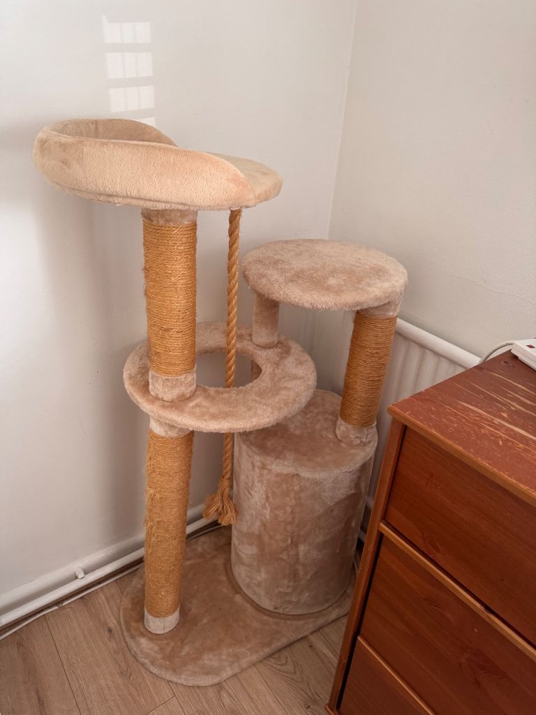 Cat playing frame