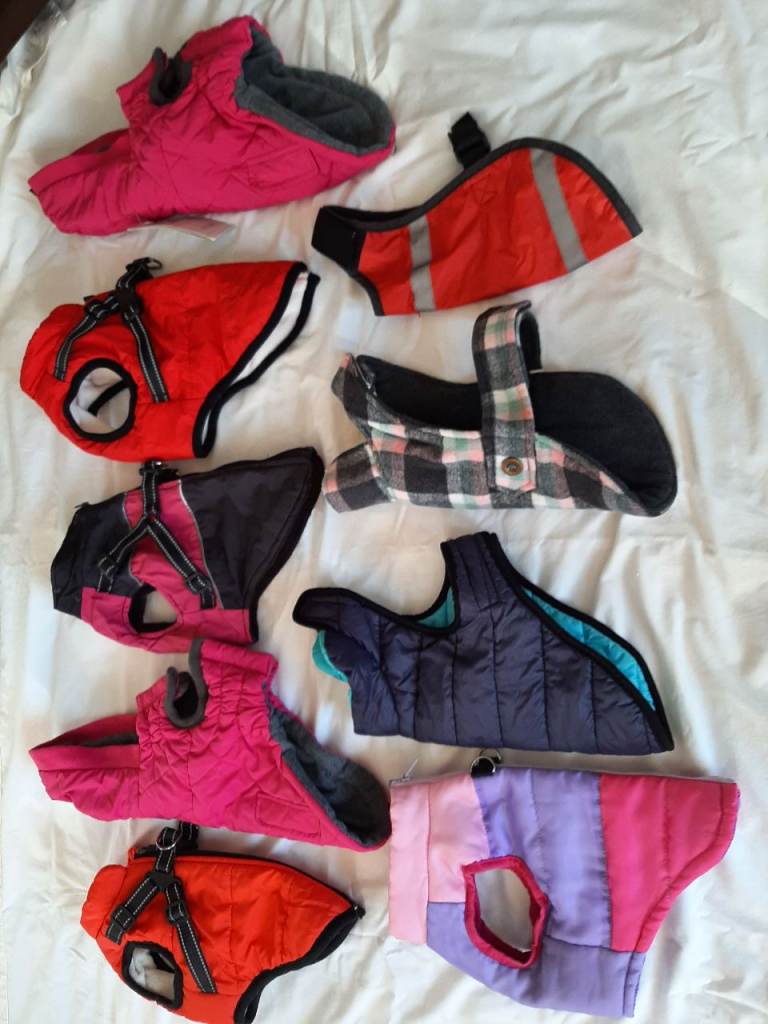 Dog coats. Small. 