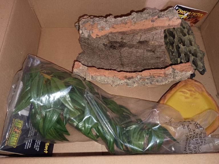 Female cornsnake for sale 