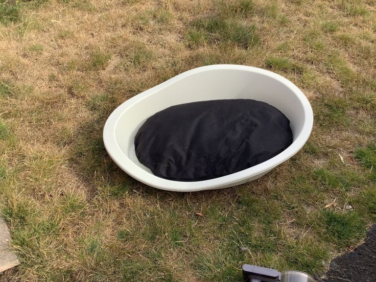 Large white dog bed