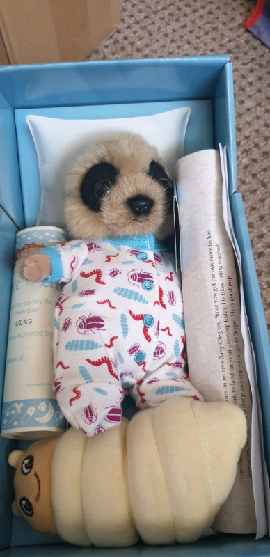Compare the Market Meerkat- Baby Oleg