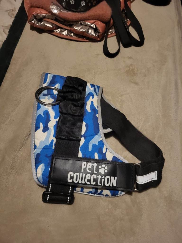 Dogs accessories